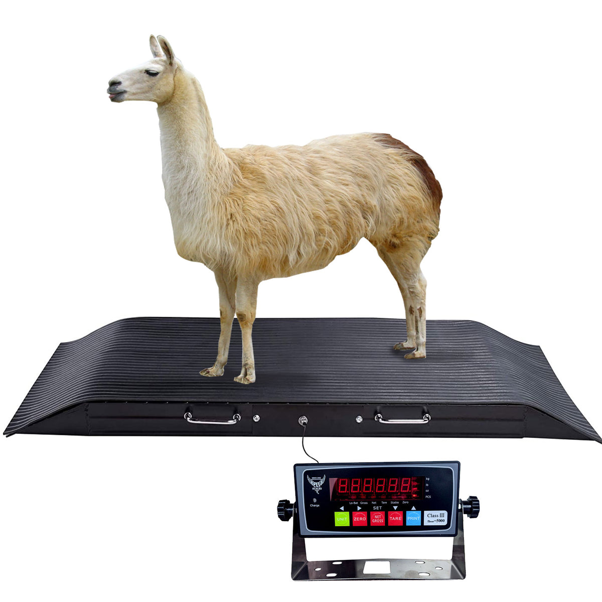 Small Single Animal Livestock Scale