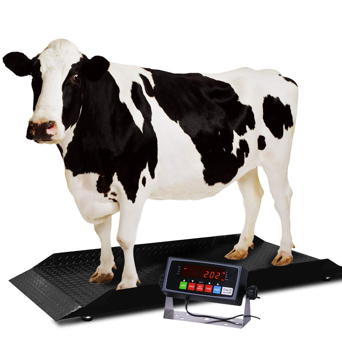 Small Single Animal Livestock Scale