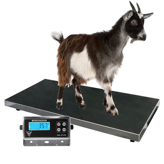 Enhance Livestock Management with PEC 2KAS Livestock Animal Scales